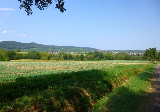 Between vineyards and mountains