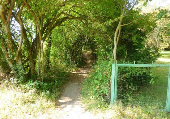 Circuit de randonnée entre vignes et montagnes