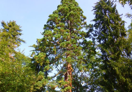 Circuit de randonnée entre vignes et montagnes