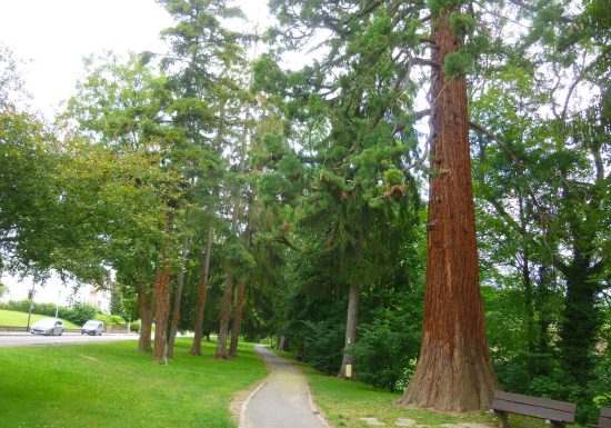 Sur les remparts de Wissembourg