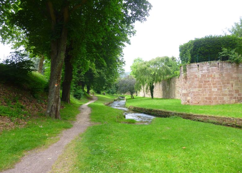 Auf den Stadtmauern von Wissembourg