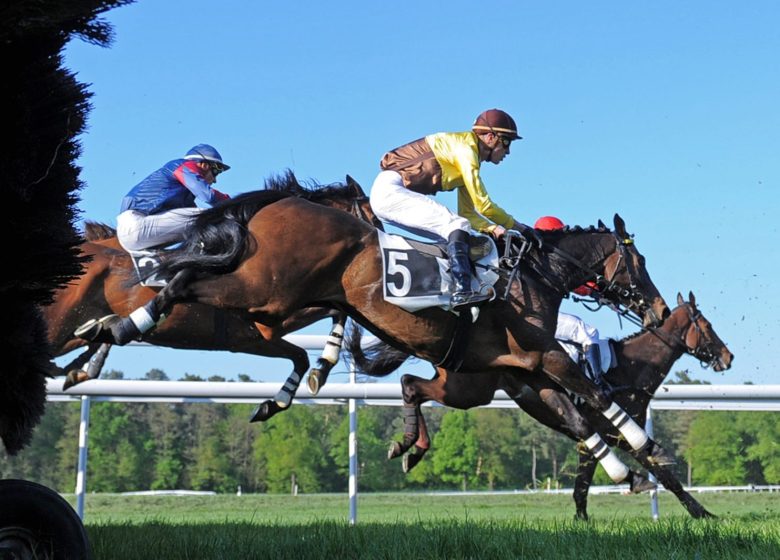 Courses hippiques