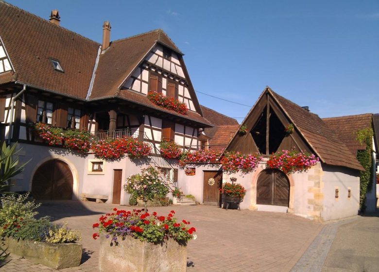 Gîte Vignoble de Cleebourg