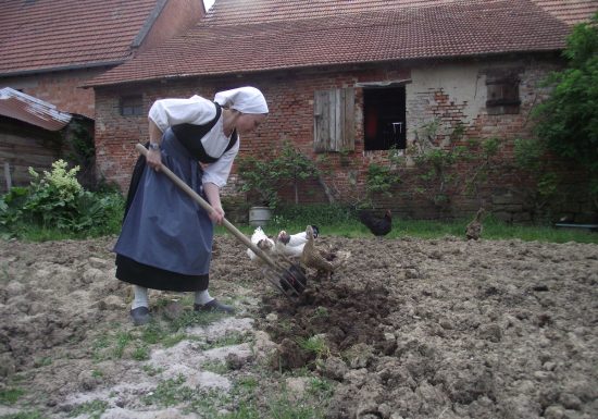 Ma petite ferme d&rsquo;antan