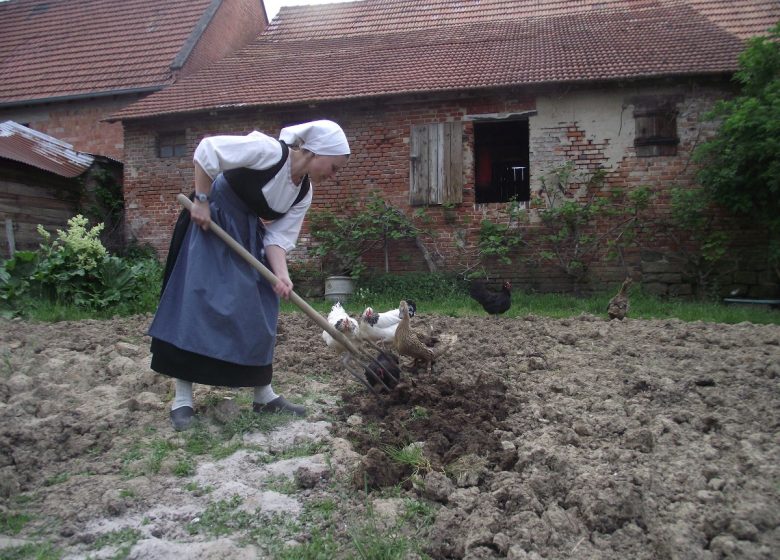 Ma petite ferme d&rsquo;antan
