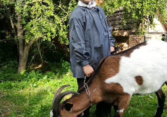 Ma petite ferme d&rsquo;antan