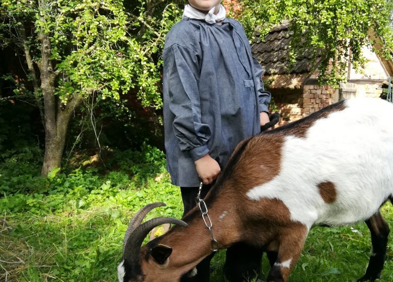 Ma petite ferme d&rsquo;antan