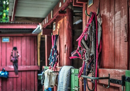 Centre équestre Werly