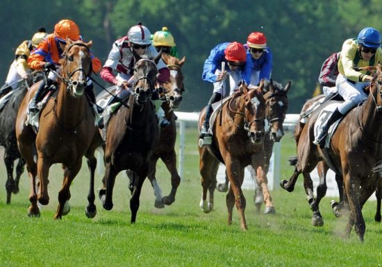 Hippodrome de la Hardt