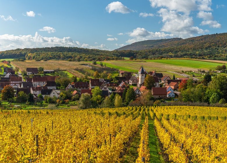 Cleebourg – Bremmelbach