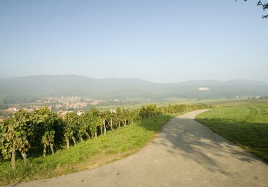 Oberhoffen lès Wissembourg