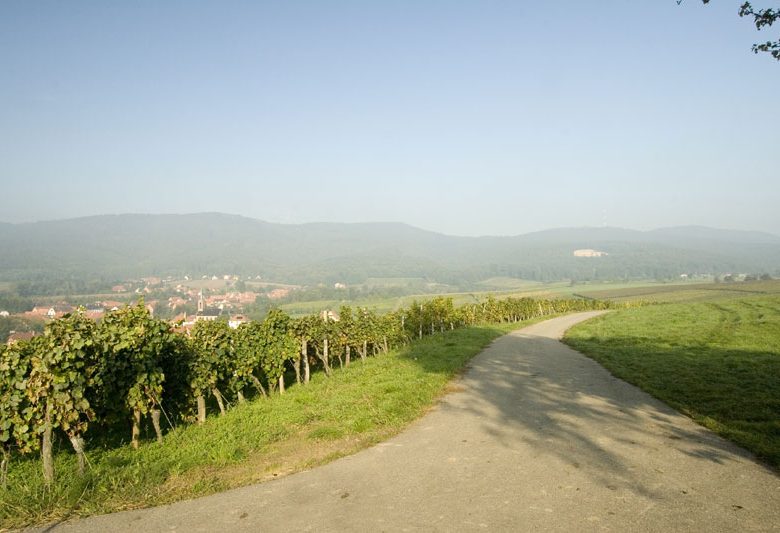 Oberhoffen lès Wissembourg