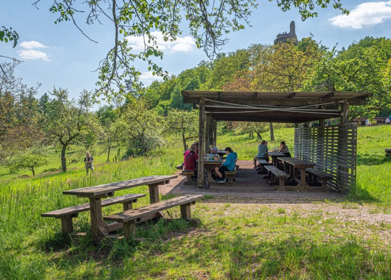 Aire de pique-nique – Château de Fleckenstein