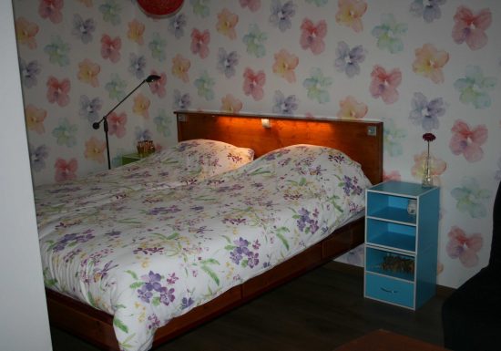 Chambres d’hôtes Petit Arnsbourg