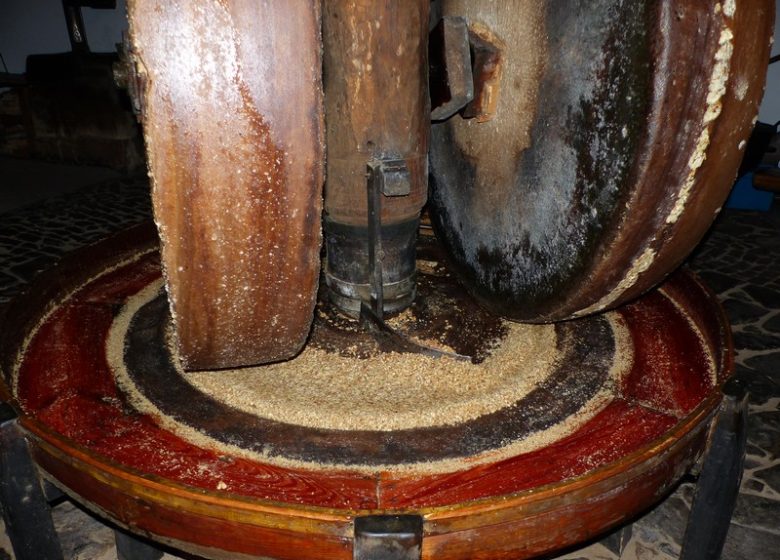 Visite et démonstration du moulin à huile