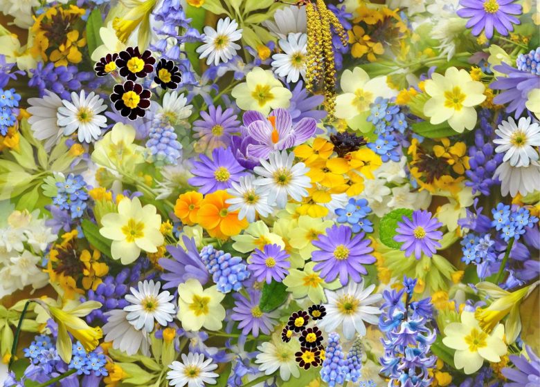 Printemps des plantes