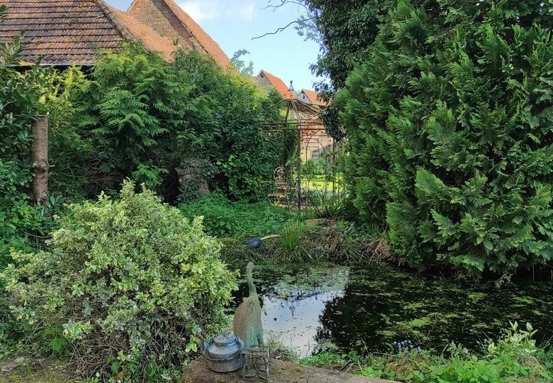 Cottage At the small fountain