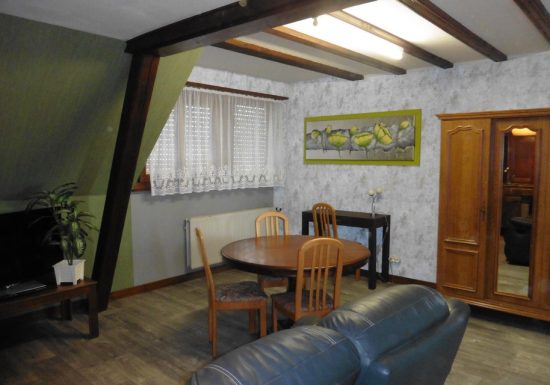 Meublé de M. Claude Rosenfelder 4