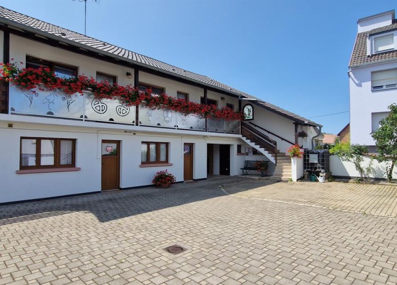 Gîtes Les Coquelicots d’Alsace – La Violette