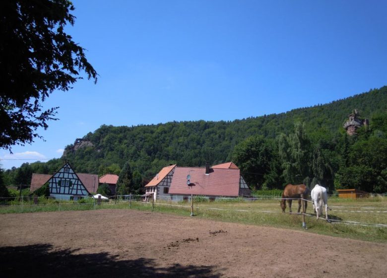 Gîte La Ferme du Heubühl