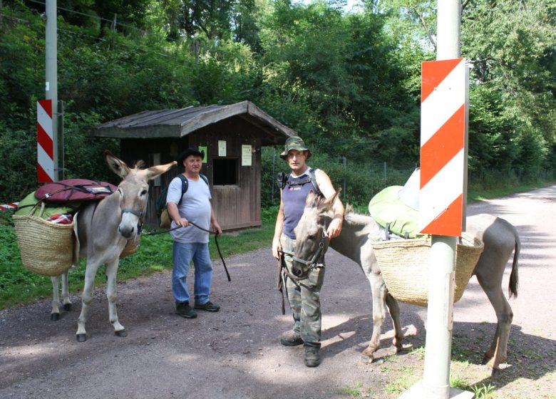 Der Schritt des Esels