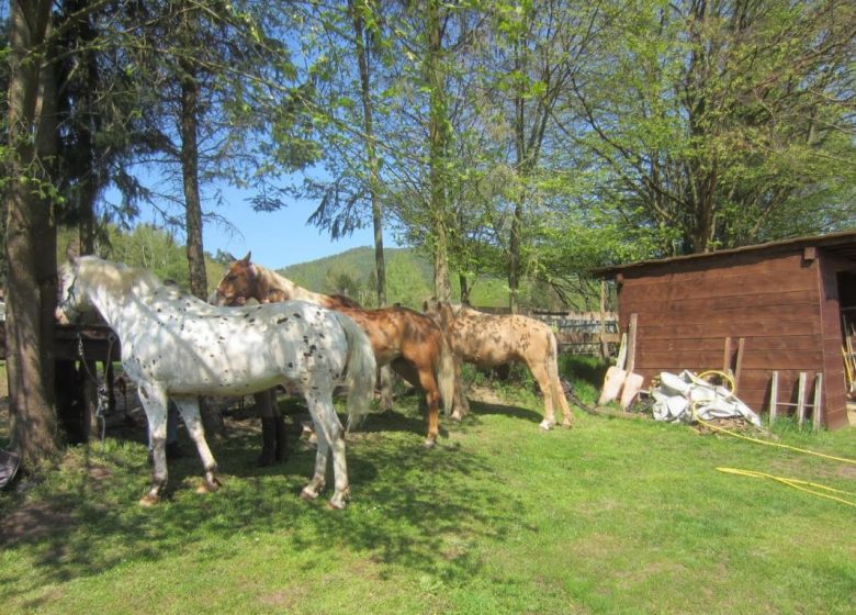 Wohnwagen La Ferme du Heubühl