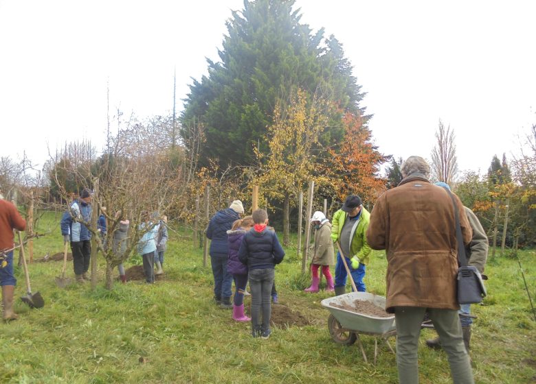 Serreboomgaard voor het verzamelen van perenbomen