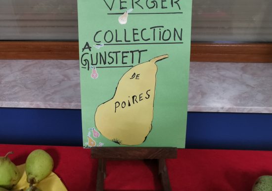 Verger conservatoire de collection de poiriers