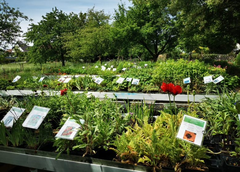 Le Jardin des Quatre Temps