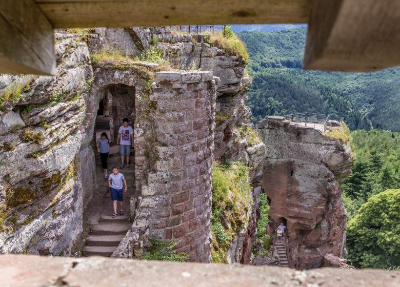 Château fort de Fleckenstein