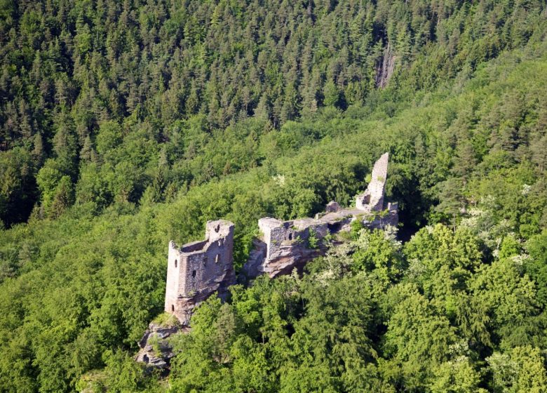 Château de Wasigenstein