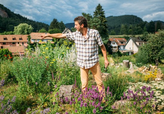 Hymenoptera, le jardin écologique