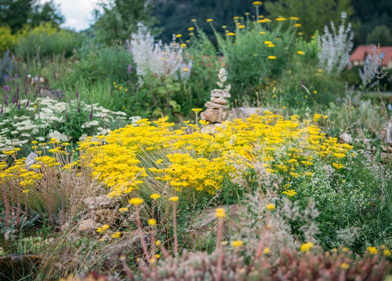 Hymenoptera, the ecological garden