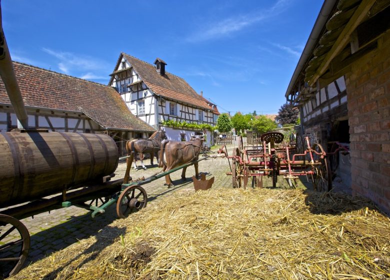 Nuit européenne des musées : Maison Rurale de l&rsquo;Outre-Forêt