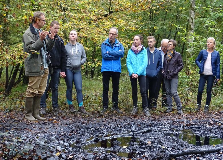 Des résurgences de pétrole ?