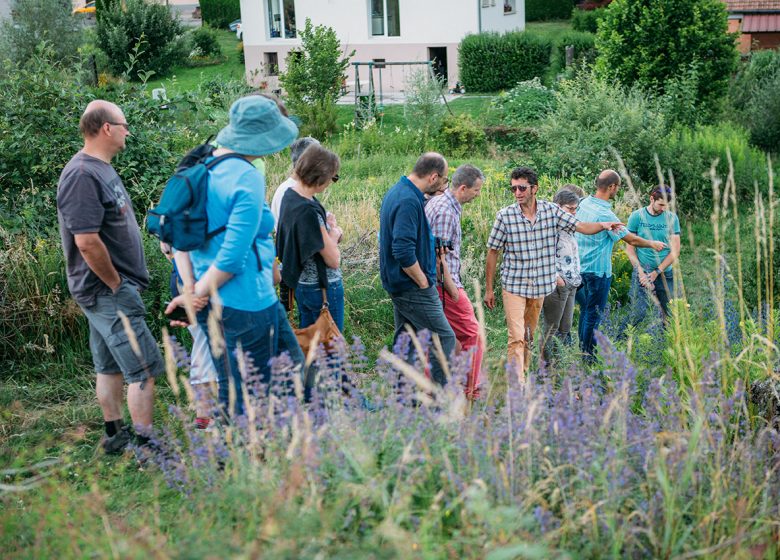 Rondleiding door de ecologische tuin van Hymenoptera