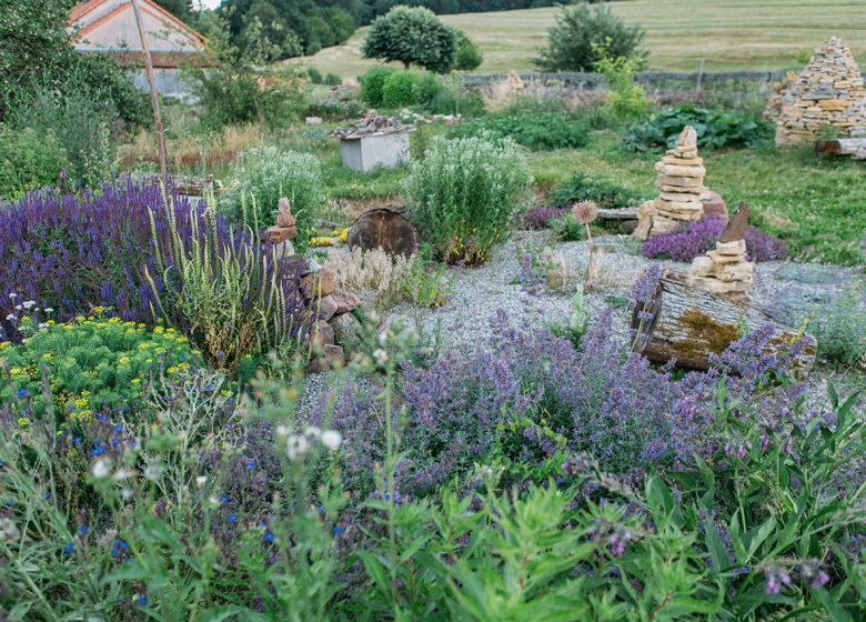 Rondleiding door de ecologische tuin van Hymenoptera