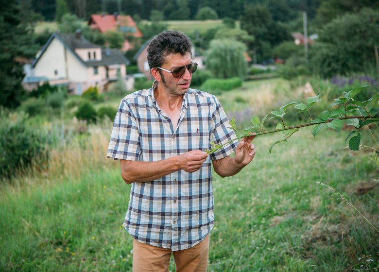 Rondleiding door de ecologische tuin van Hymenoptera