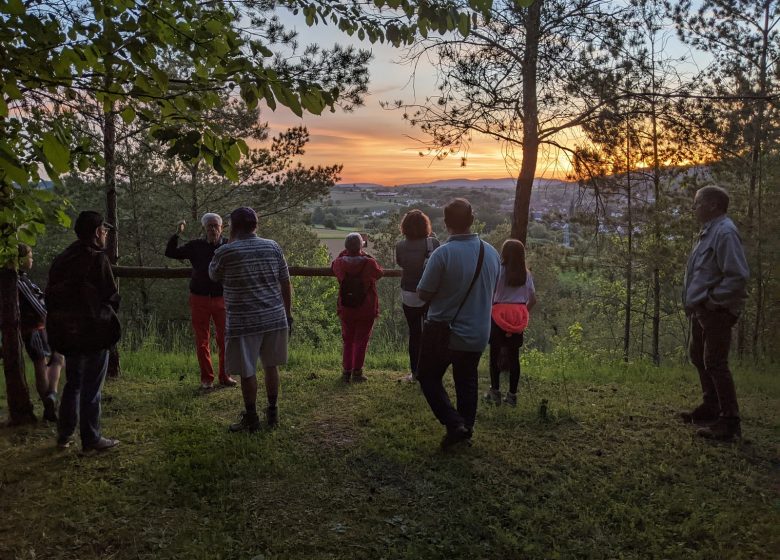 Nuit européenne des musées : Visite guidée nocturne du carreau Clemenceau
