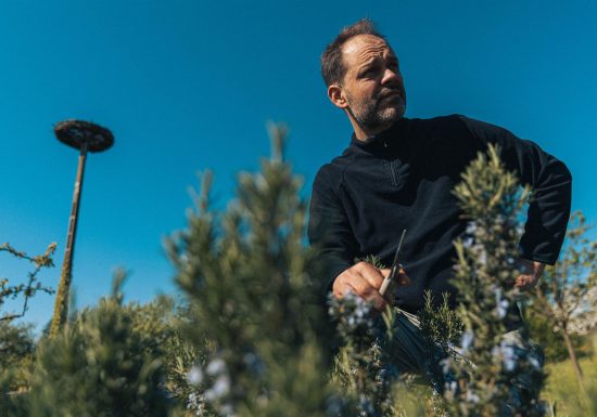 Restaurant La Merise