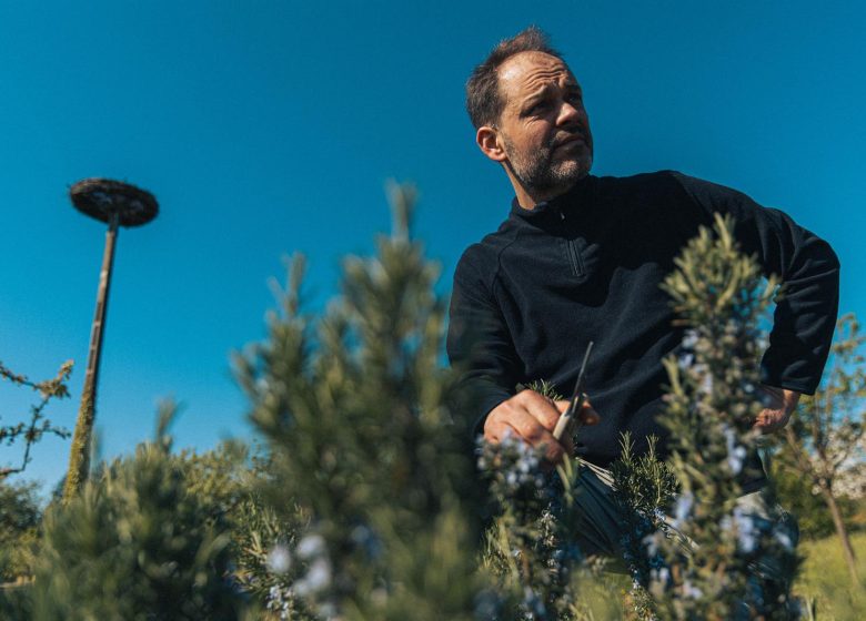 Restaurant La Merise