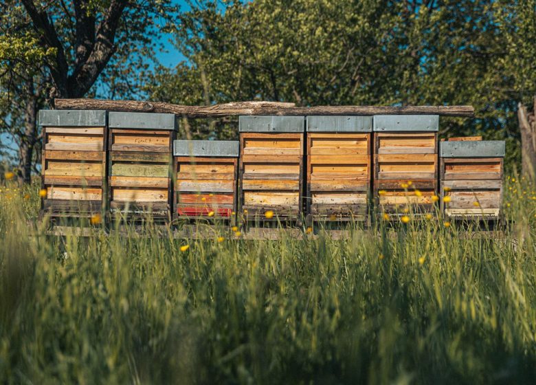 Restaurant La Merise