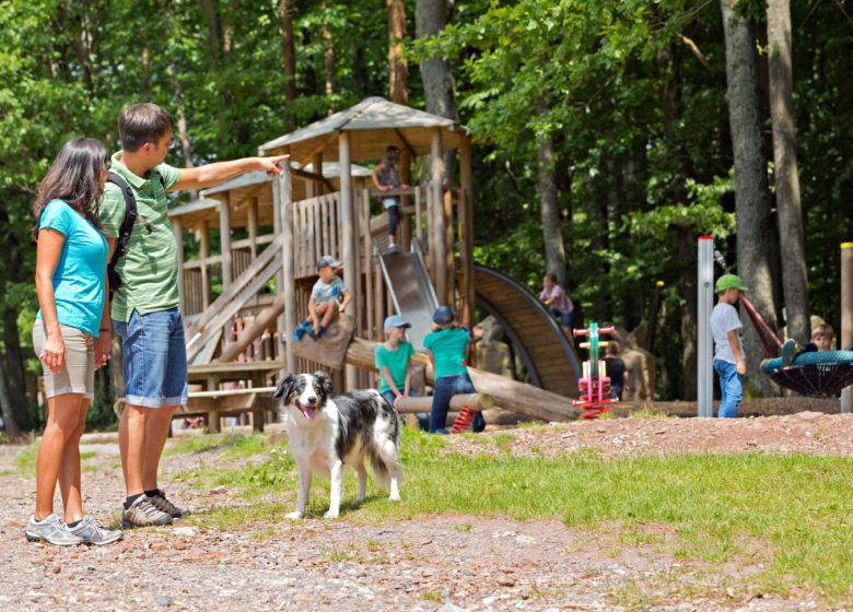 Aire de jeux médiévale