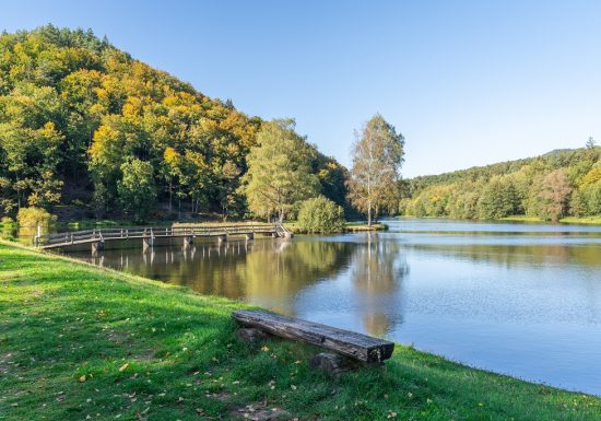 Etang de pêche du Fleckenstein