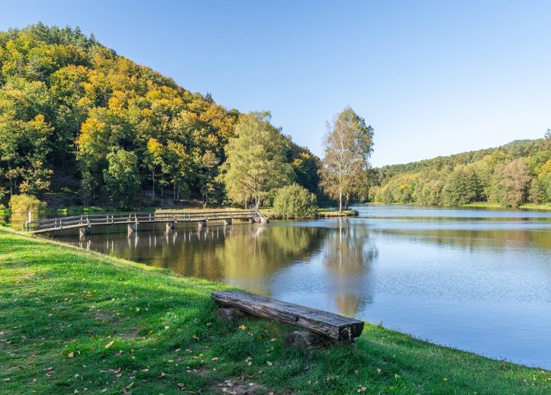 Etang de pêche du Fleckenstein