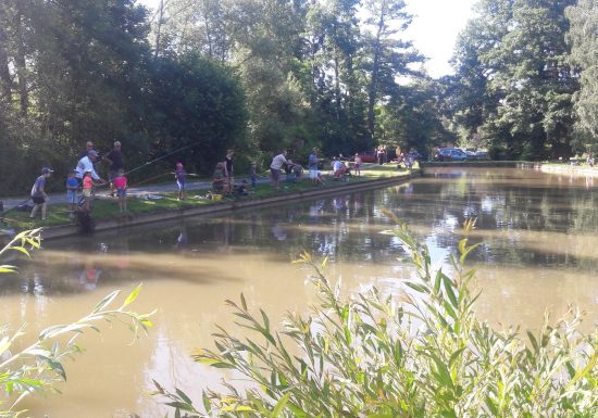 Etang de pêche du Stockmatt