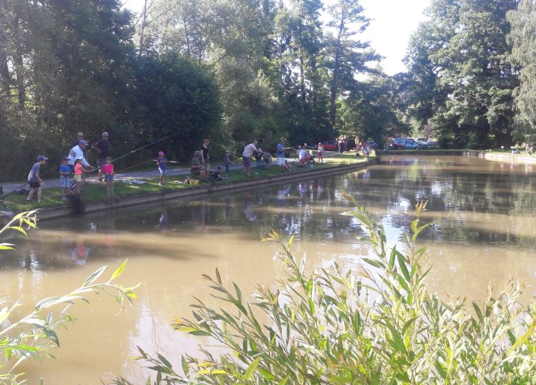 Etang de pêche du Stockmatt