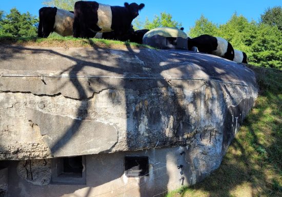 Conservatoire Ligne Maginot – Casemate de Neunhoffen