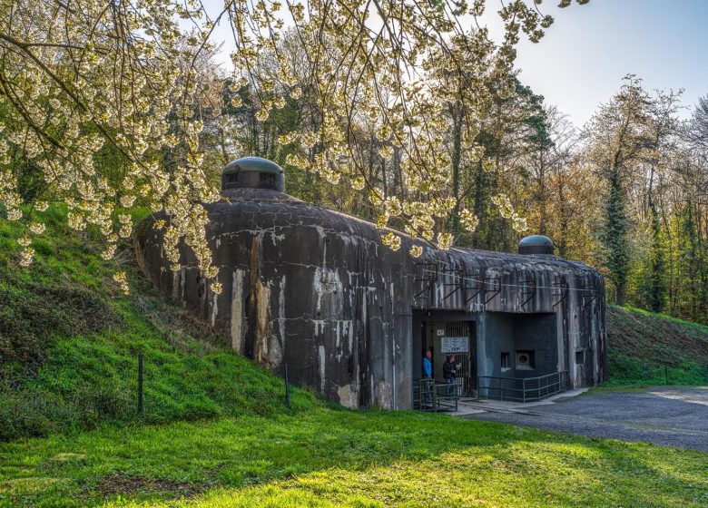 Fort de Schoenenbourg – Ligne Maginot