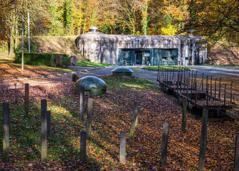 Fort de Schoenenbourg – Ligne Maginot